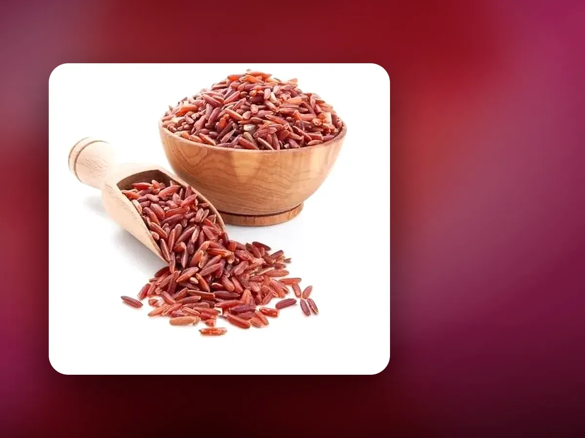 লাল চাল ল্যান্ডিং পেজ